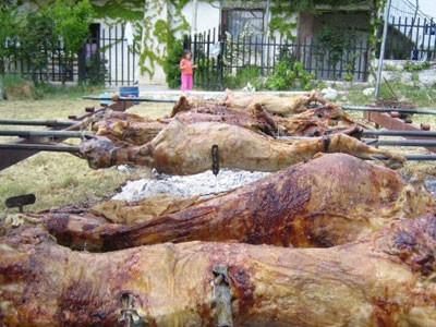 Στα 11 ευρώ το κιλό ο οβελίας